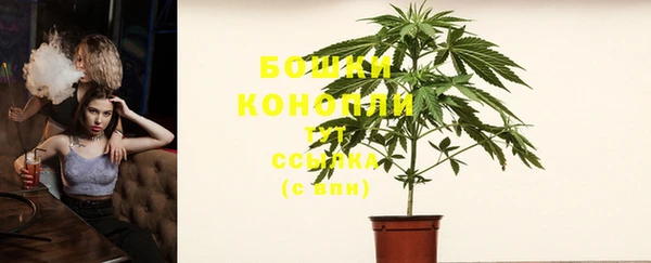 индика Белоозёрский