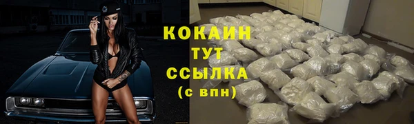 индика Белоозёрский