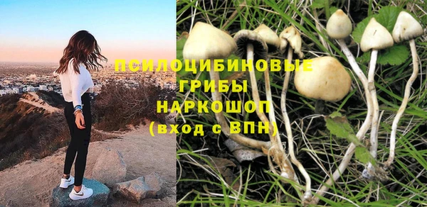 индика Белоозёрский