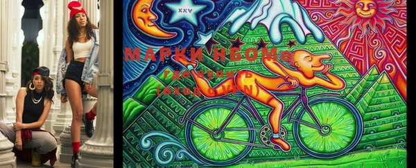 индика Белоозёрский