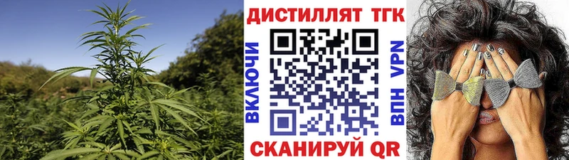 Купить  Можга  ТГК концентрат 