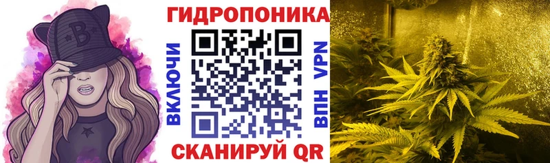 Конопля планчик  Купить закладки  Можга 